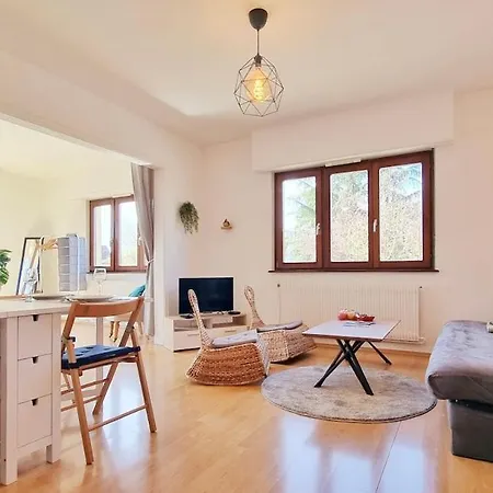 Les Aubepines - Calme - Parking Кольмар